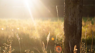 电话轰炸机在线网页版