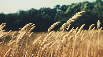 电话轰炸机在线网页版