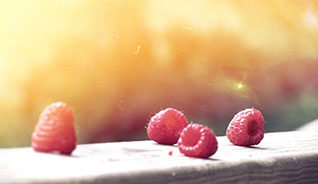 手机短信轰在线轰炸免费